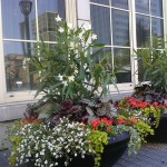 pix_clayton-03