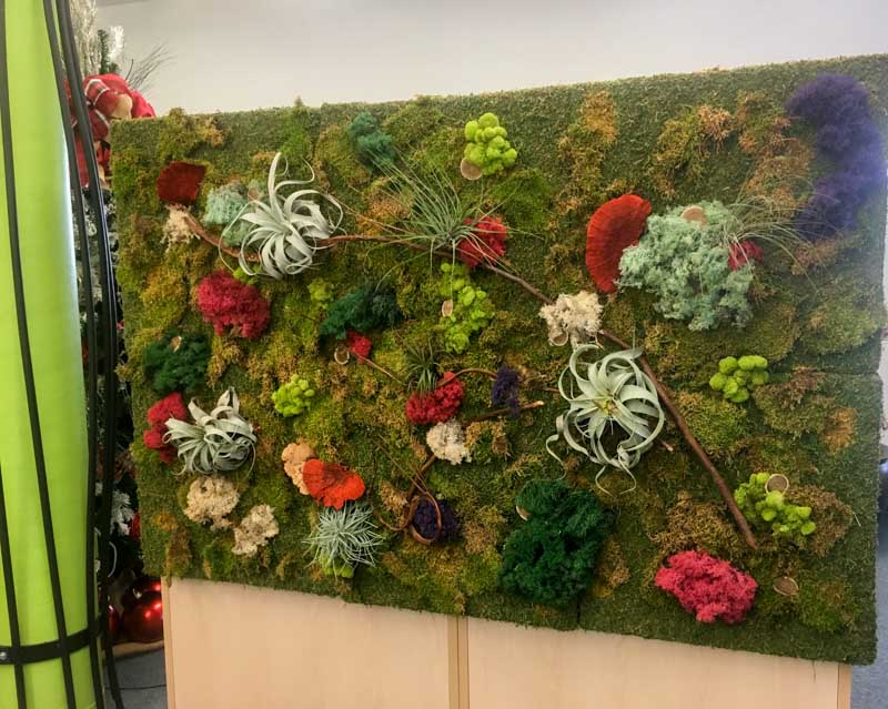 Moss Walls in St. Louis