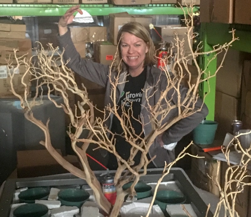 Lynne-Knop-who-we-are-Growing-Green-4192