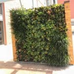 Living-Green-Wall-Installation-St-Louis-1844