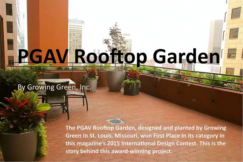 2015-iPlants-Magazine-International-Design-First-Place-Award-Rooftop-Garden-downtown-St-Louis