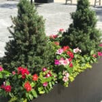 I-Plants-Magazine-June2019-Award-Garden-Plaza-St-Louis-2