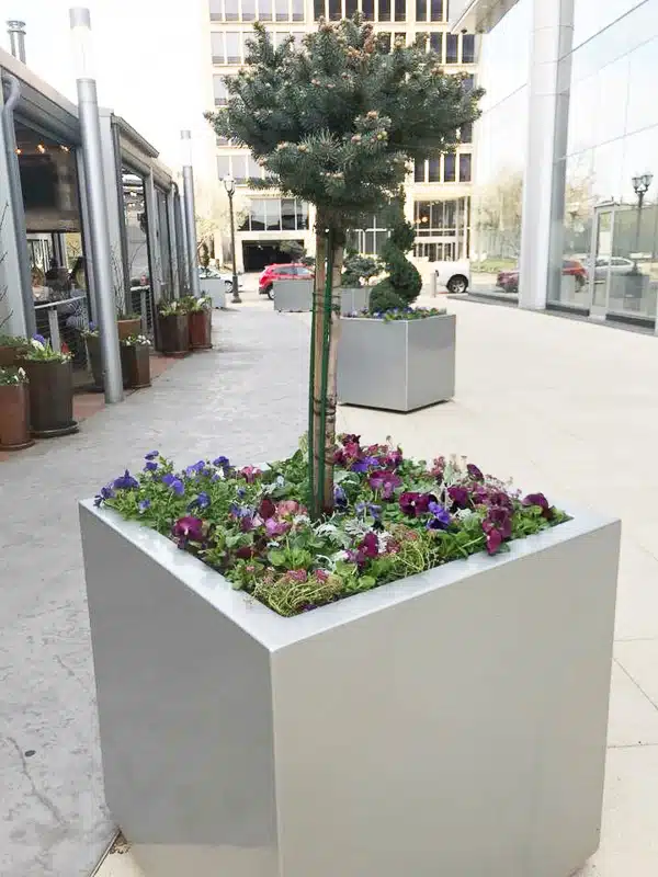 Outdoor plants in block planter for office building in St. Louis by Growing Green inc