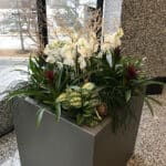 I-Plants-Magazine-June2019-Award-Magna-Place-St-Louis-8 I-Plants Magazine International Design Contest Gold Award for Container Plant Design