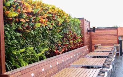 Restaurant patio outdoor plant wall