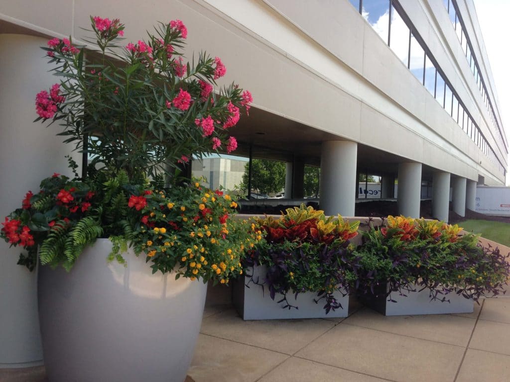 Exterior Office plantings in St. Louis by Growing Green inc