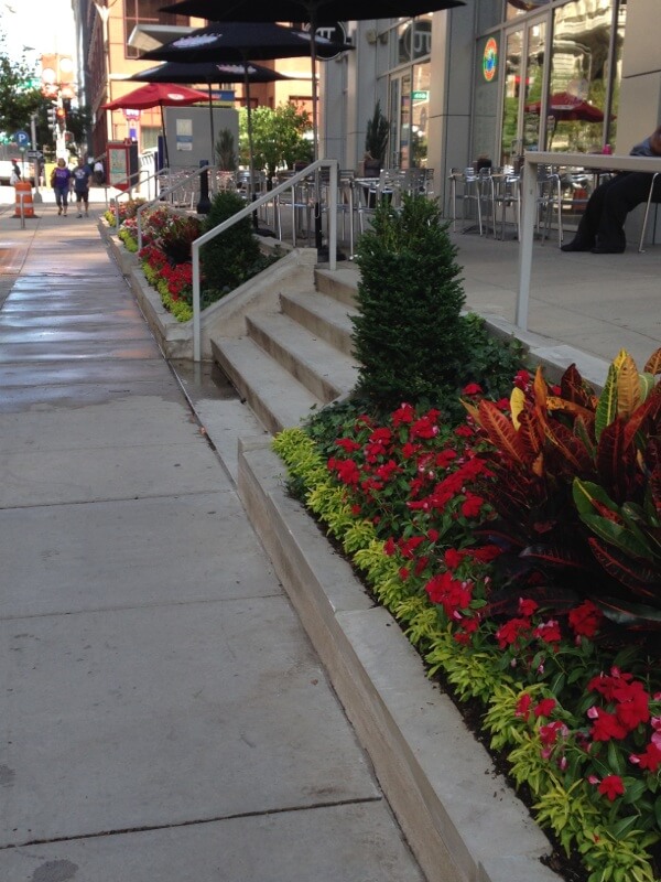 Exterior plantings for stairway in St. Louis by Growing Green inc