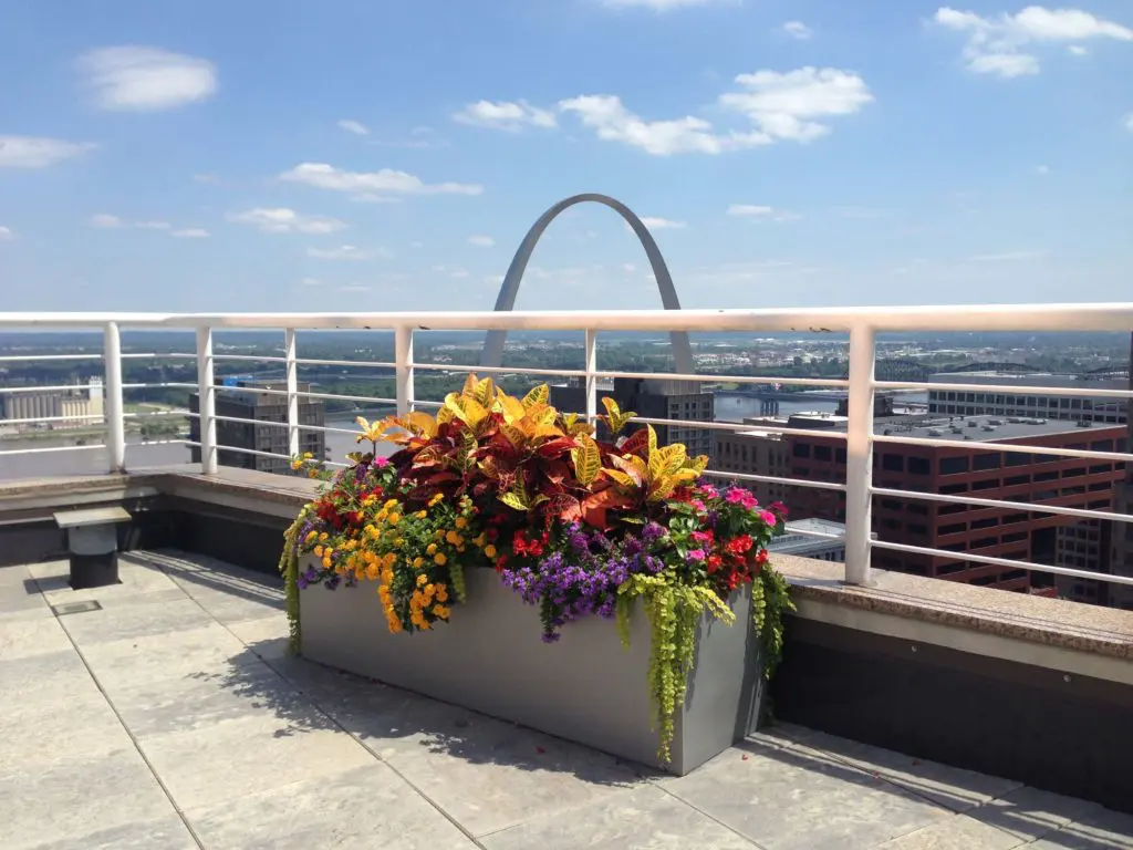 Rooftop outdoor plants in St. Louis by Growing Green inc