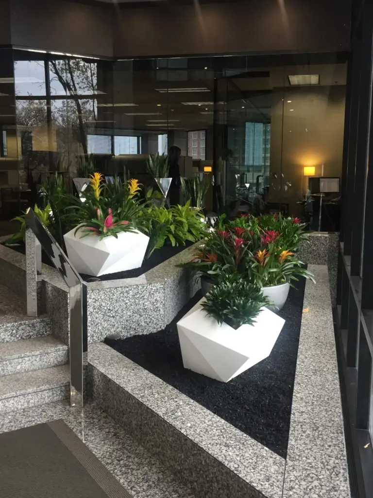 Indoor plants using geometric pots