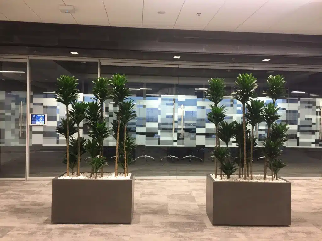 Indoor walkway plants