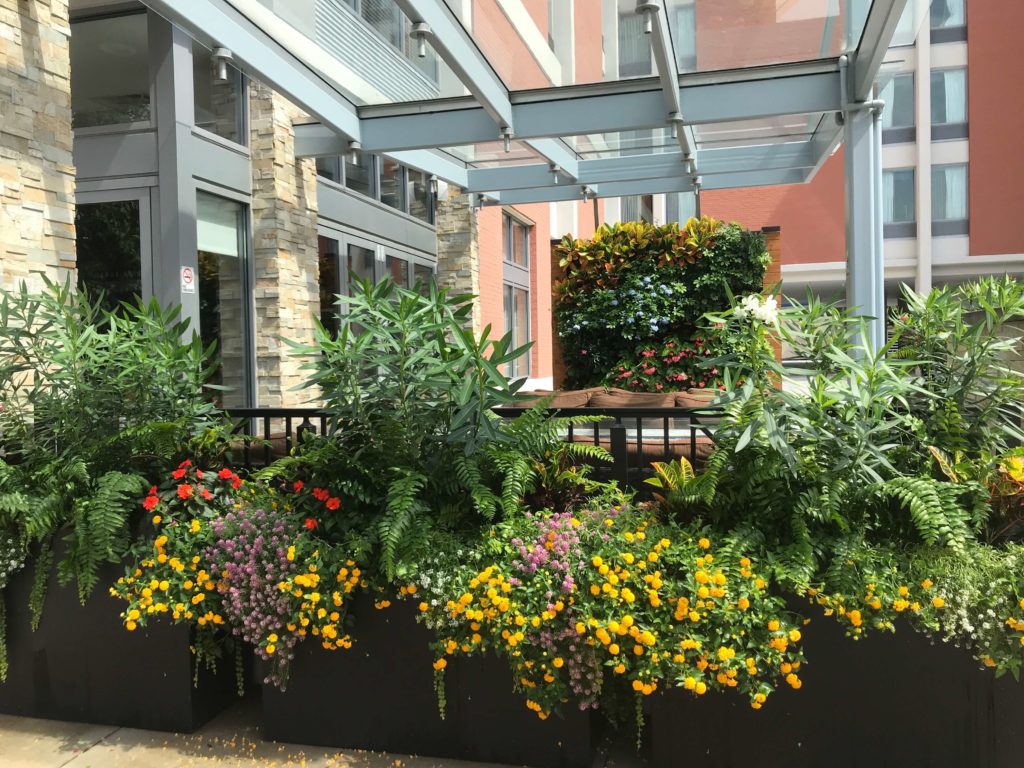 Outdoor plants in St. Louis by Growing Green inc
