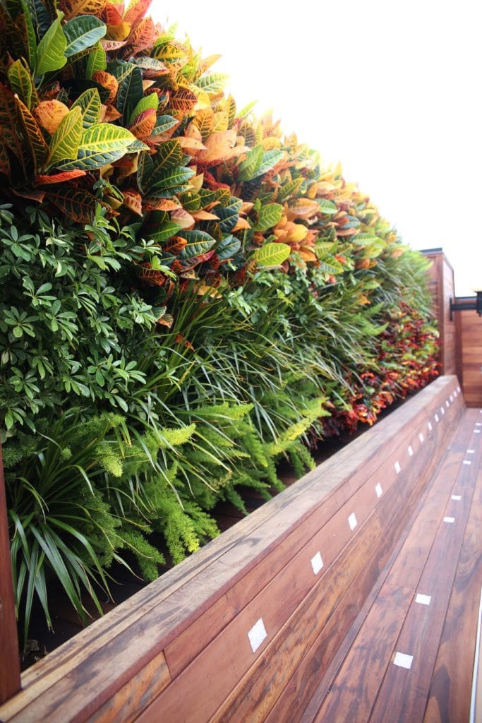 Outdoor plant wall green wall Outdoor plants in St. Louis by Growing Green inc