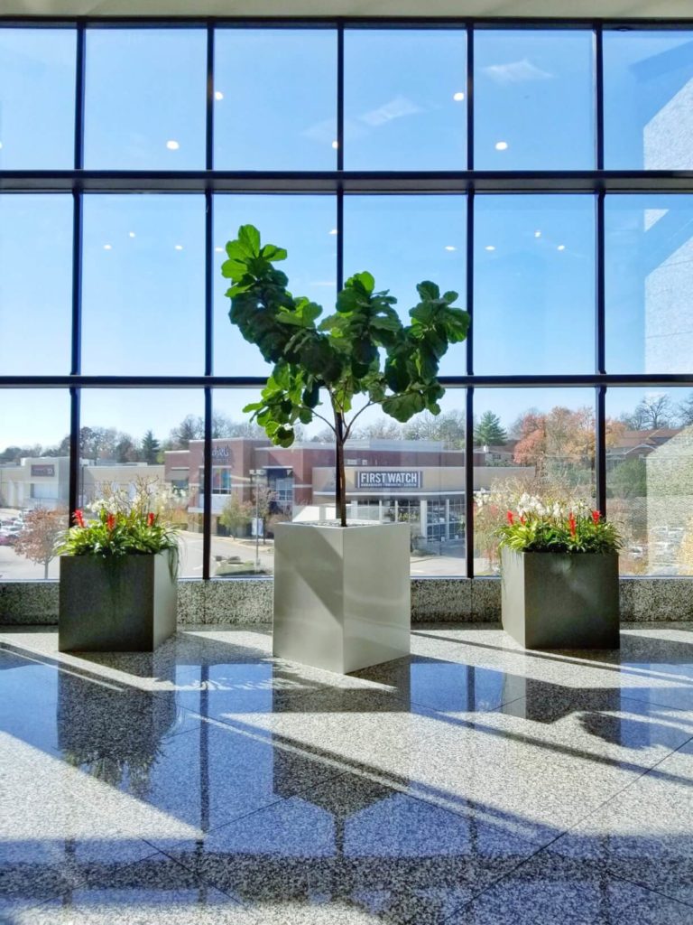 Indoor large planting flanked by smaller arrangements in front of large windows.