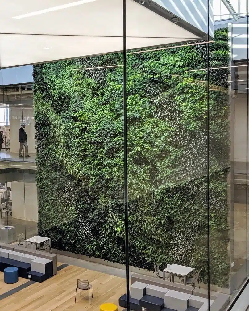 Large vertical green wall at Washington University