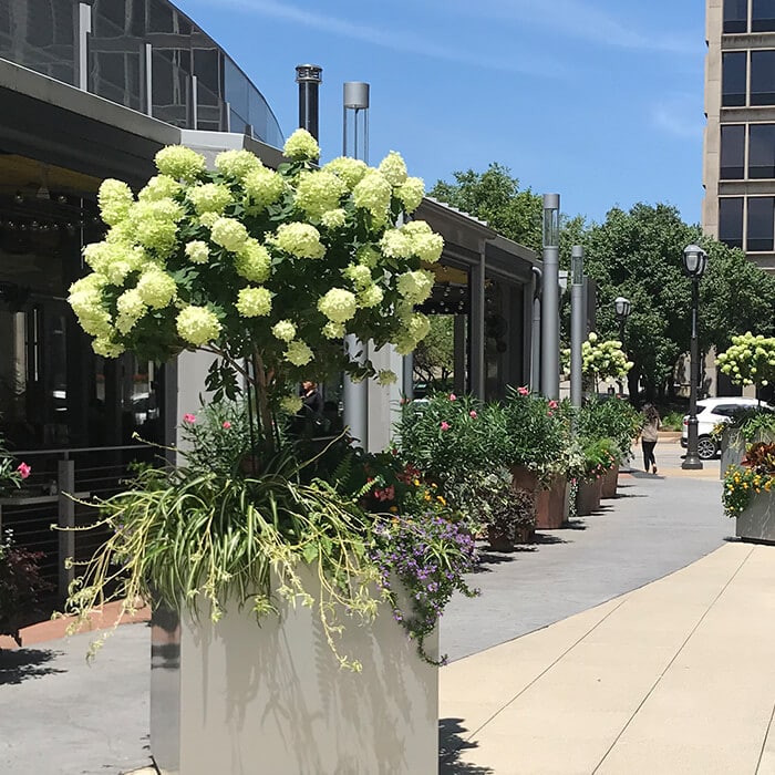 Large planter installation outside a local business office