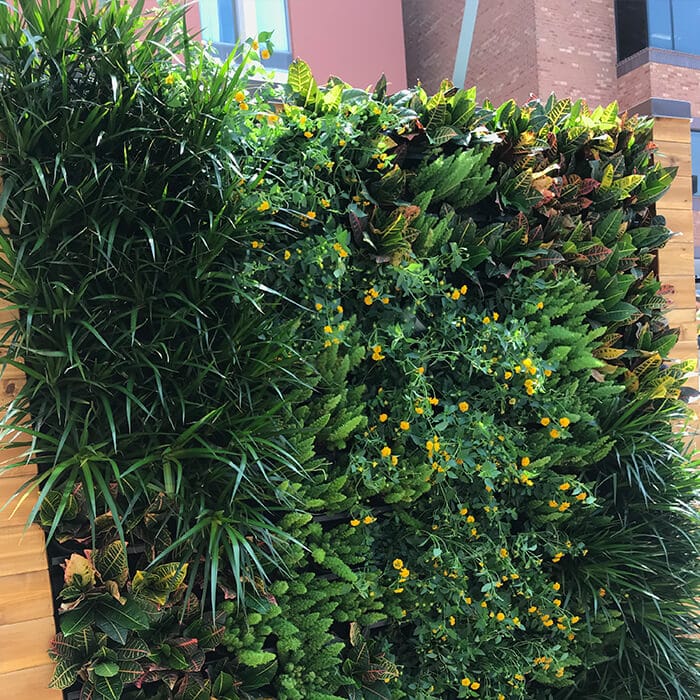 Outdoor vertical plant wall divider
