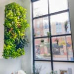 BiophilicOffice3