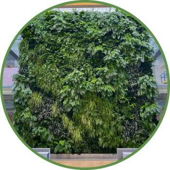 Wall Circle