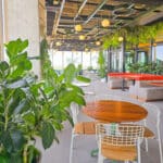 BiophilicPatio 1
