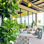 BiophilicPatio 2