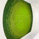 GreenEmpowerment 2