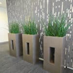 GreenEmpowerment 4
