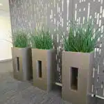 GreenEmpowerment 4
