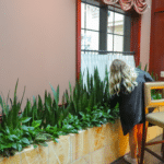 LushBotanicals 6