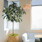 OfficeBliss 6