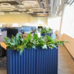 OfficeBliss 7