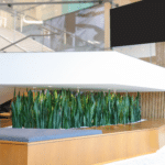 OfficeSanctuary 1
