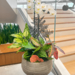 OfficeSanctuary 2