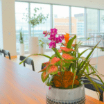 OfficeSanctuary 5