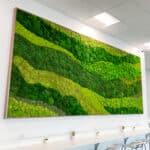 SereneGreen 1