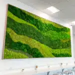 SereneGreen 1