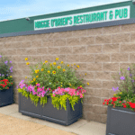 TranquilTavern 4