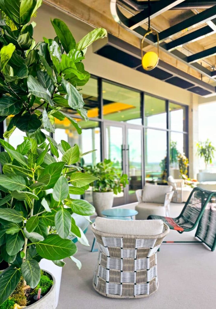 BiophilicPatio 2
