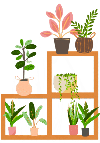 Monthly Promotion Graphic